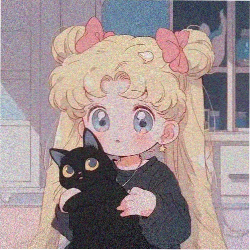 主演张涵